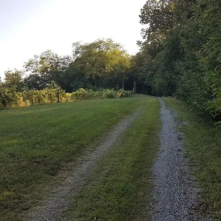 Cascina Vercellina Con Piscina *